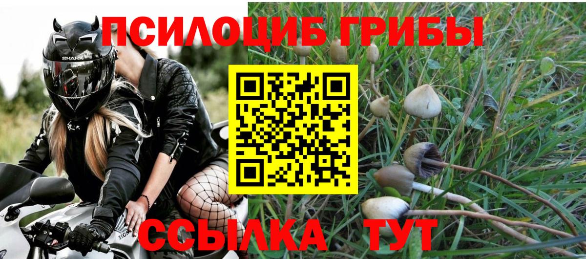 Лангепас  Галлюциногенные грибы ЛСД  Галлюциногенные грибы Magic Shrooms  Вход с VPN 