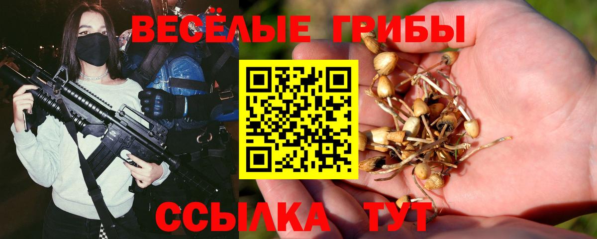 Галлюциногенные грибы Psilocybe Лангепас
