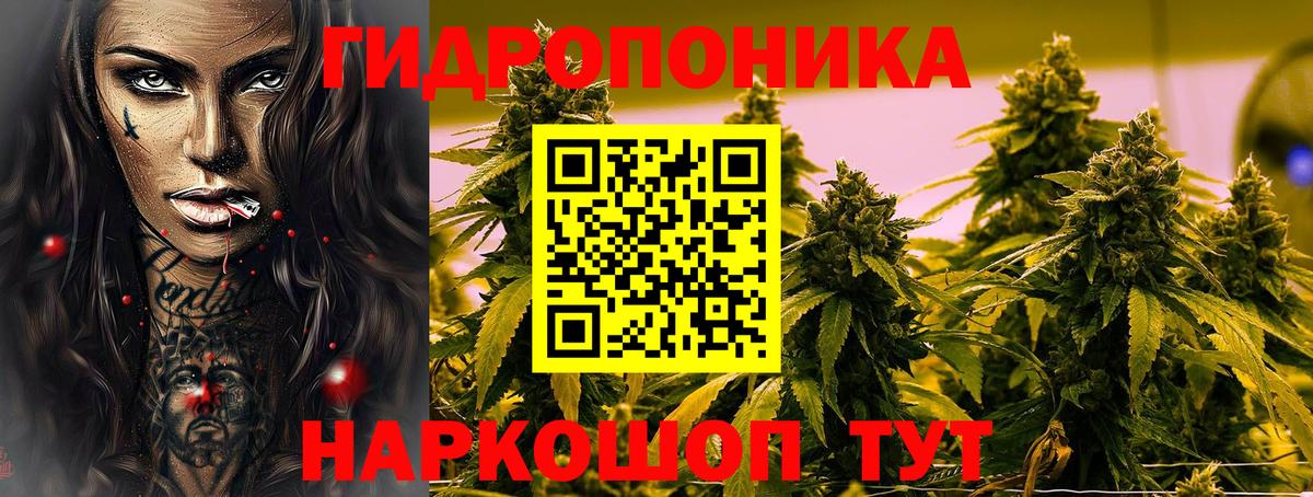 Бошки Шишки план Лангепас